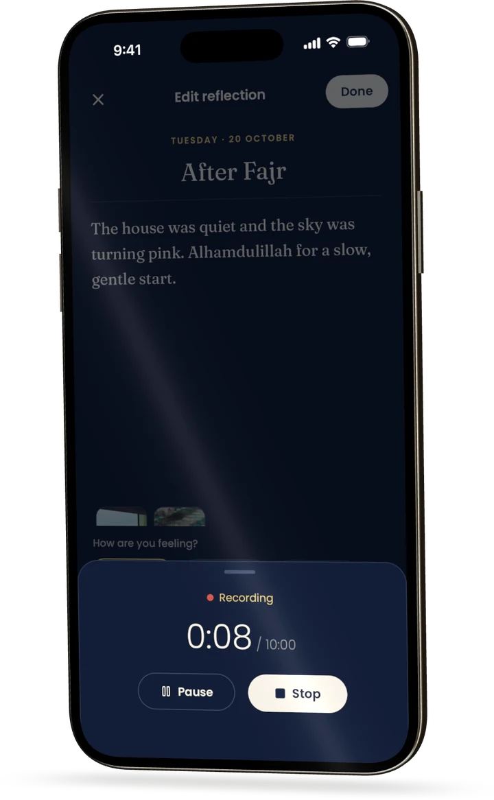 Recording a voice note in the journal
